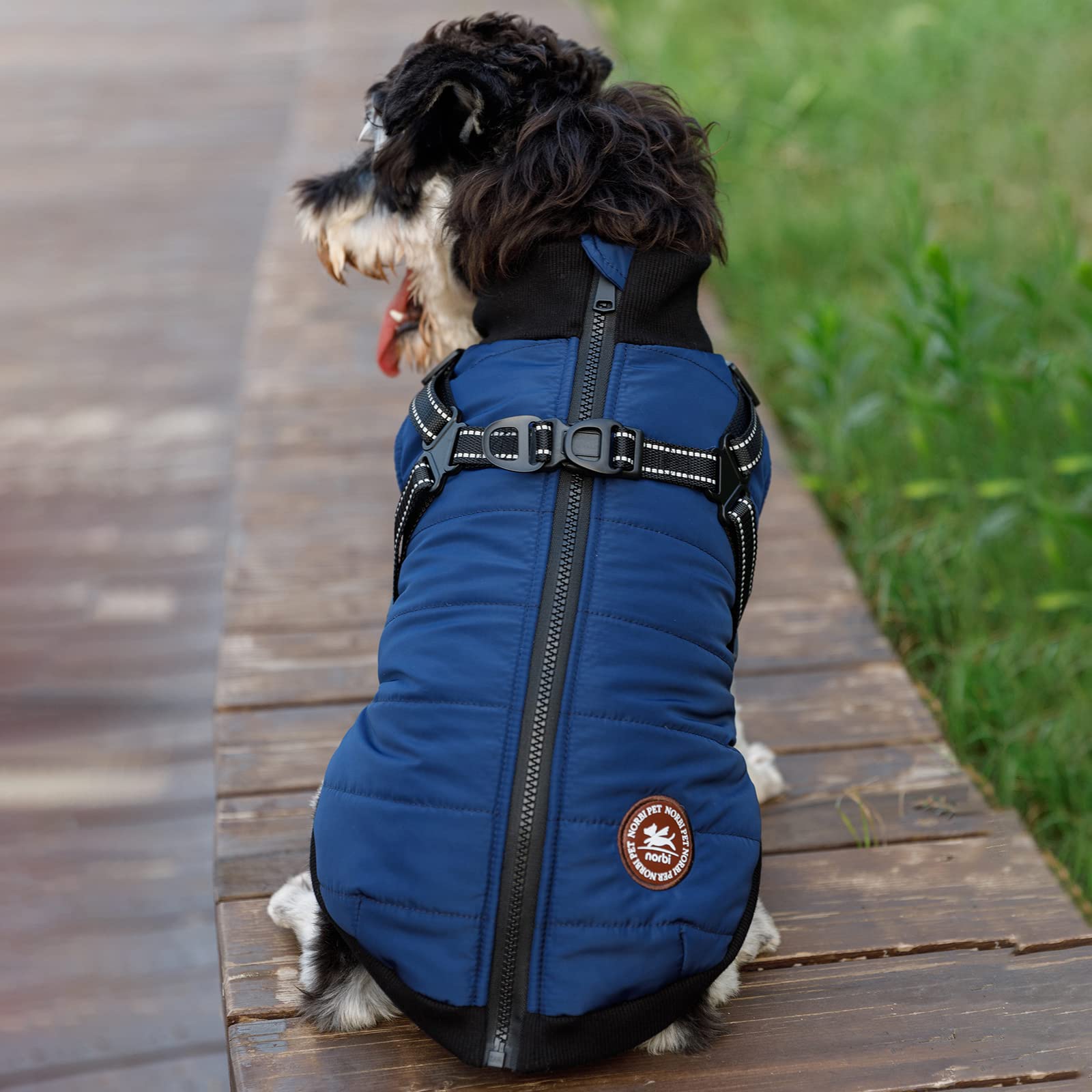 Cat Harness Best Dog Coat For Small Dogs At Stephen Whitehead Blog