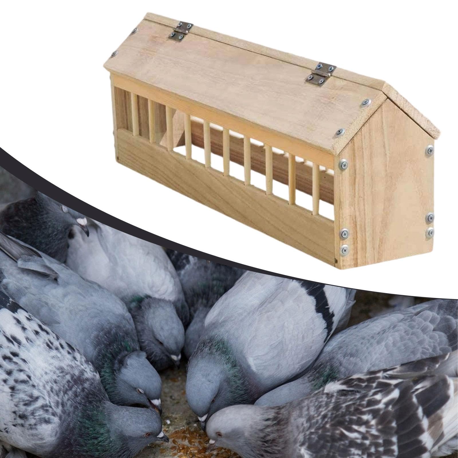 Colcolo Comedero de Madera para Palomas, contenedor dispensador de Comida para Aves, comedero para Palomas, codornices y Granjas, 60cm