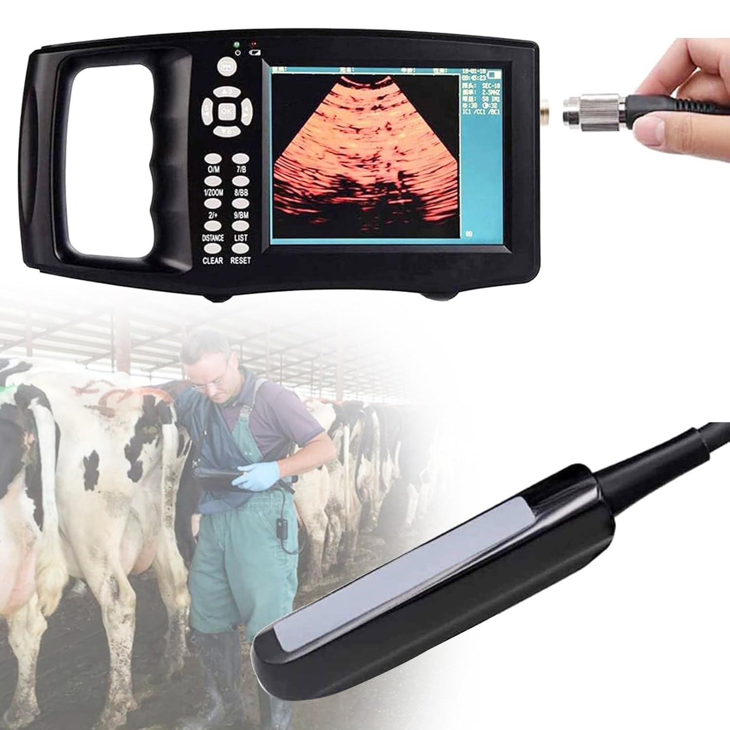 Qiang Scanner Ecografico Veterinario Portatile per Controllo Gravidanza Ecografo Veterinario con Sonda Rettale 6,5 ​​MHz E Touchscreen da 5,6" per Bovini,Cavalli Ed Equini