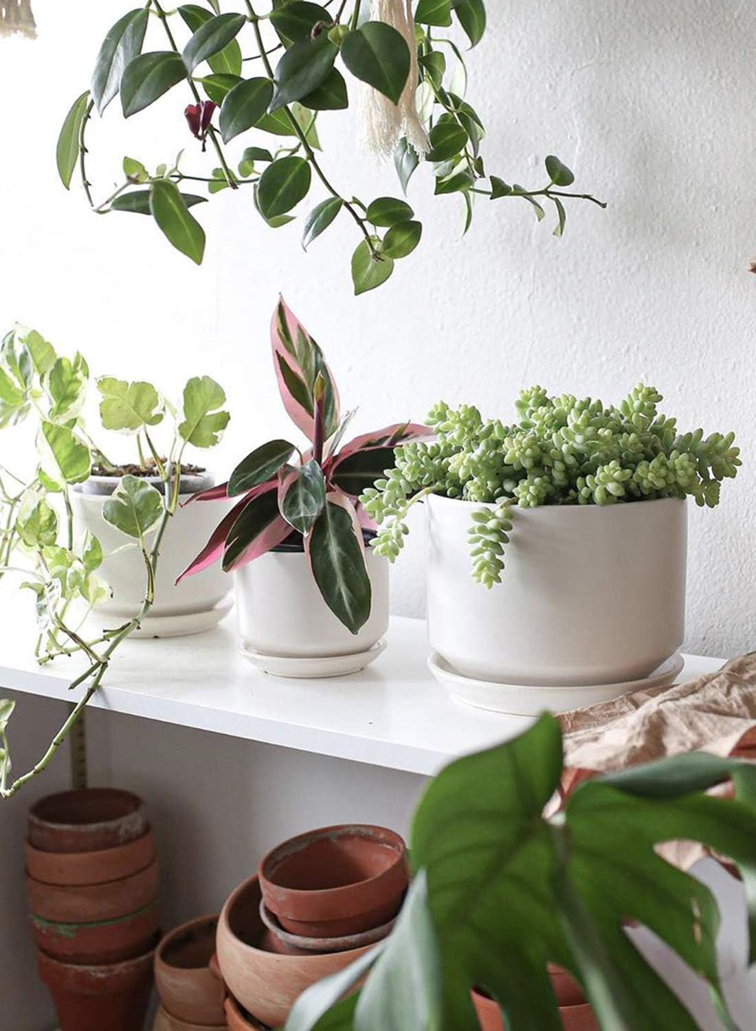 LE TAUCI Pot de Fleurs en Céramique 17 cm, Pot de Fleurs avec Soucoupe Intégrée et Trou de Drainage, Petit Cache-Pot Moderne, Robuste et Durable pour Décoration Maison et Bureau, Finition Mate, Blanc
