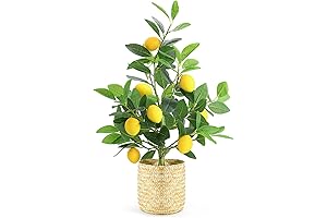 AceList: Enhancing Your Space with Artificial Lemon Delights