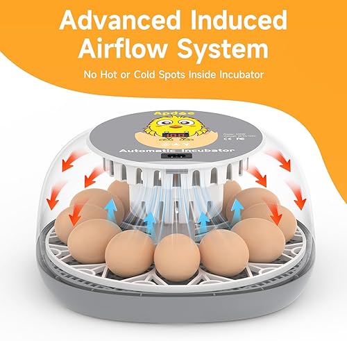 Miniatura 2 de Apdoe Incubadora de 12 huevos, incubadoras para incubar huevos, girador automático de huevos con control de temperatura, vela de huevos, reposición