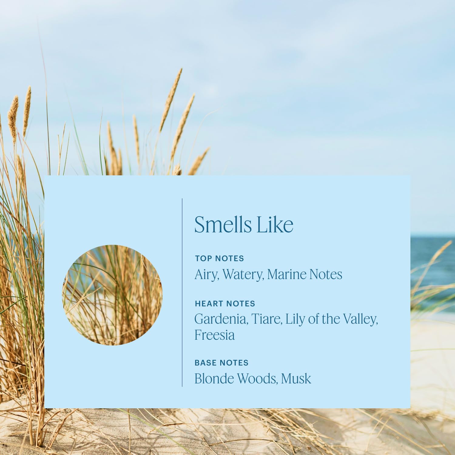 Aera Beach House - Ricarica per profumo, note di Ocean Air e Gardenia, funziona con il diffusore AERA