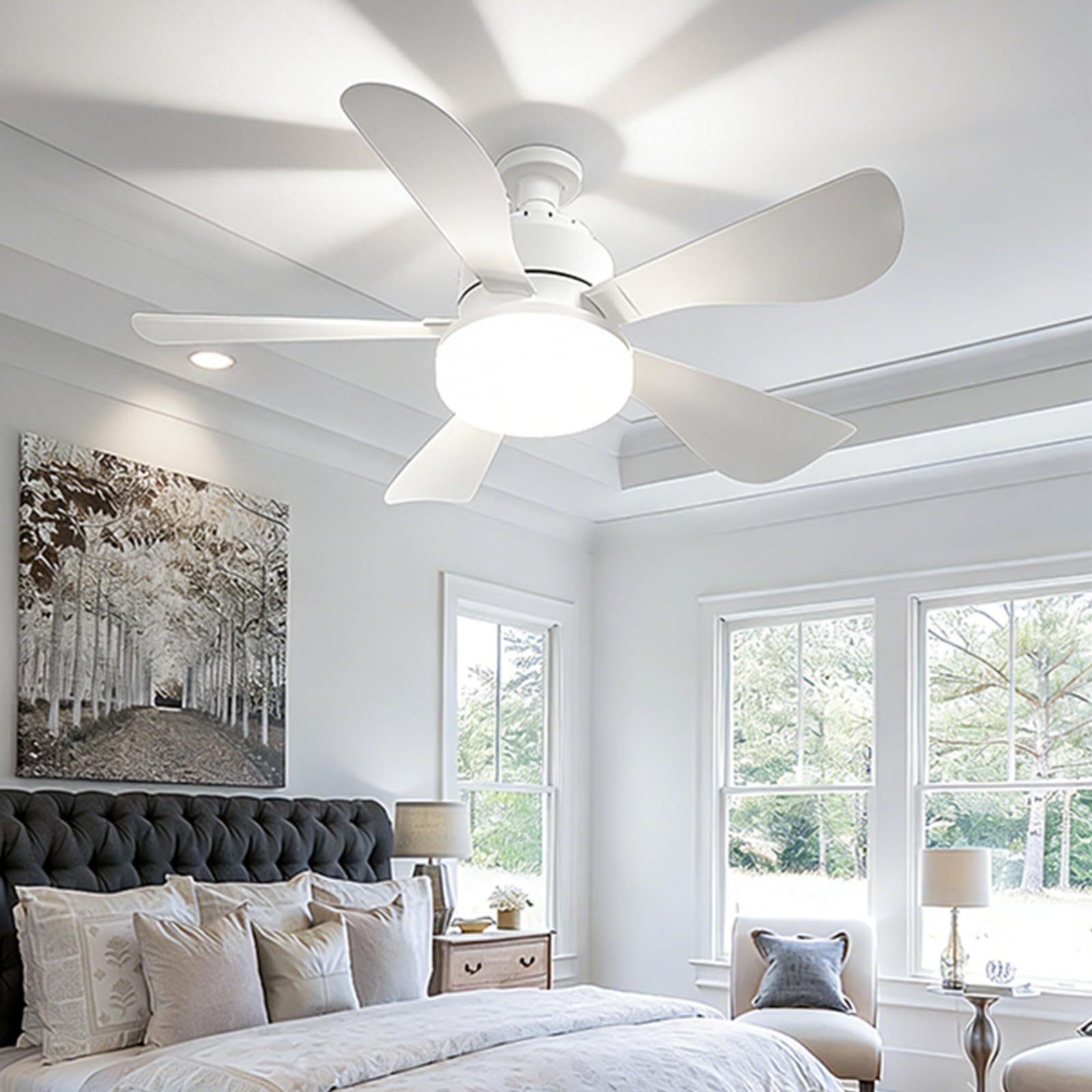 Ventilateur de plafond 63 cm éclairage LED télécommande et minuterie