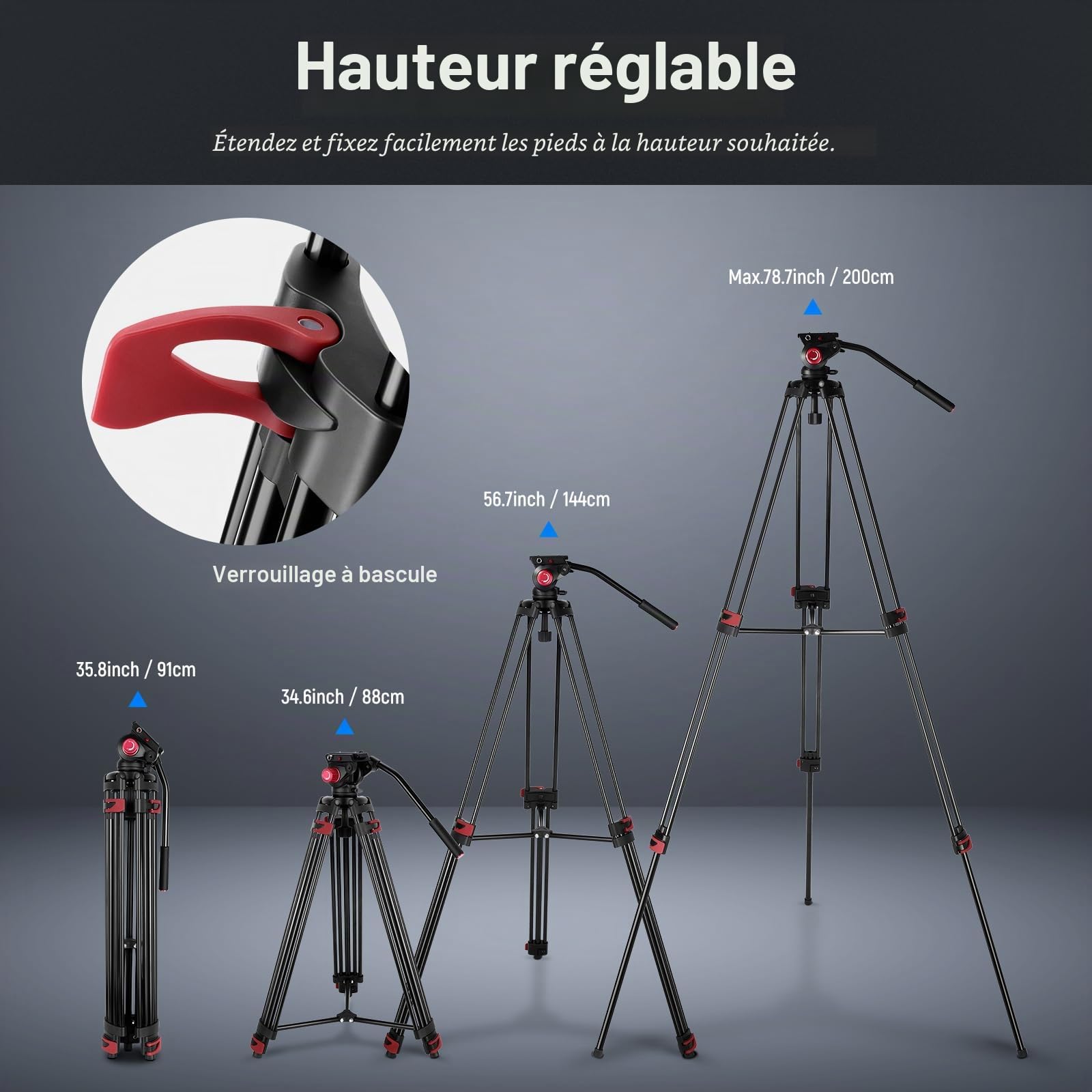 NEEWER 200cm Trépied Vidéo,Trépied en Alliage d'Aluminium Robuste avec Tête de Glissement Fluide à 360°,Plaque QR Compatible avec Canon Nikon Sony et Autres Caméscopes DSLR,Charge Jusqu'à 8kg