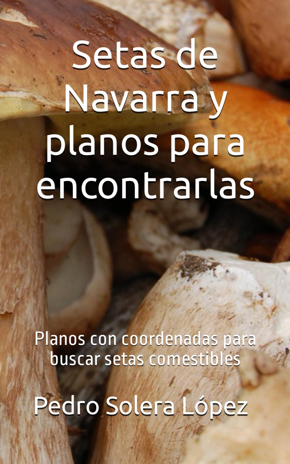 Setas de Navarra y planos para encontrarlas: Planos con coordenadas para buscar setas comestibles