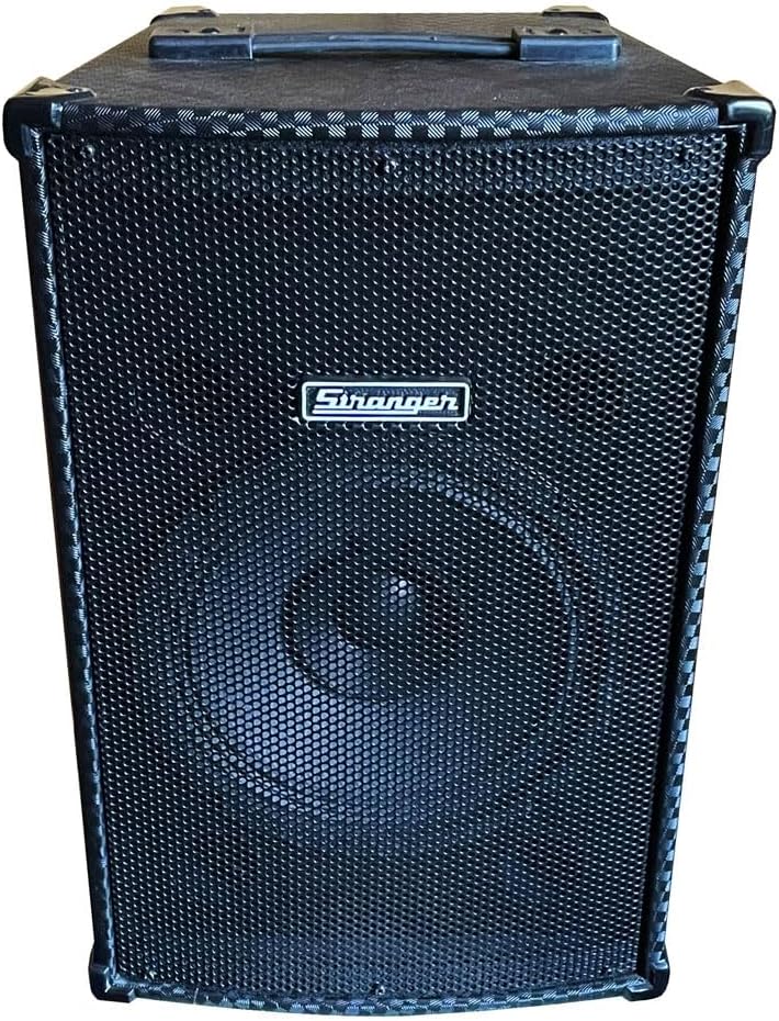 Stranger PM25 (Vocal, Guitar & MP3 Player with Cordless Microphone)