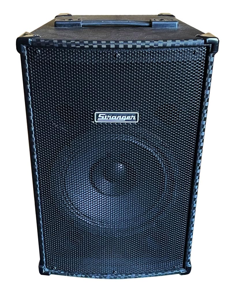 Stranger PM25 (Vocal, Guitar & MP3 Player with Cordless Microphone)-image-44