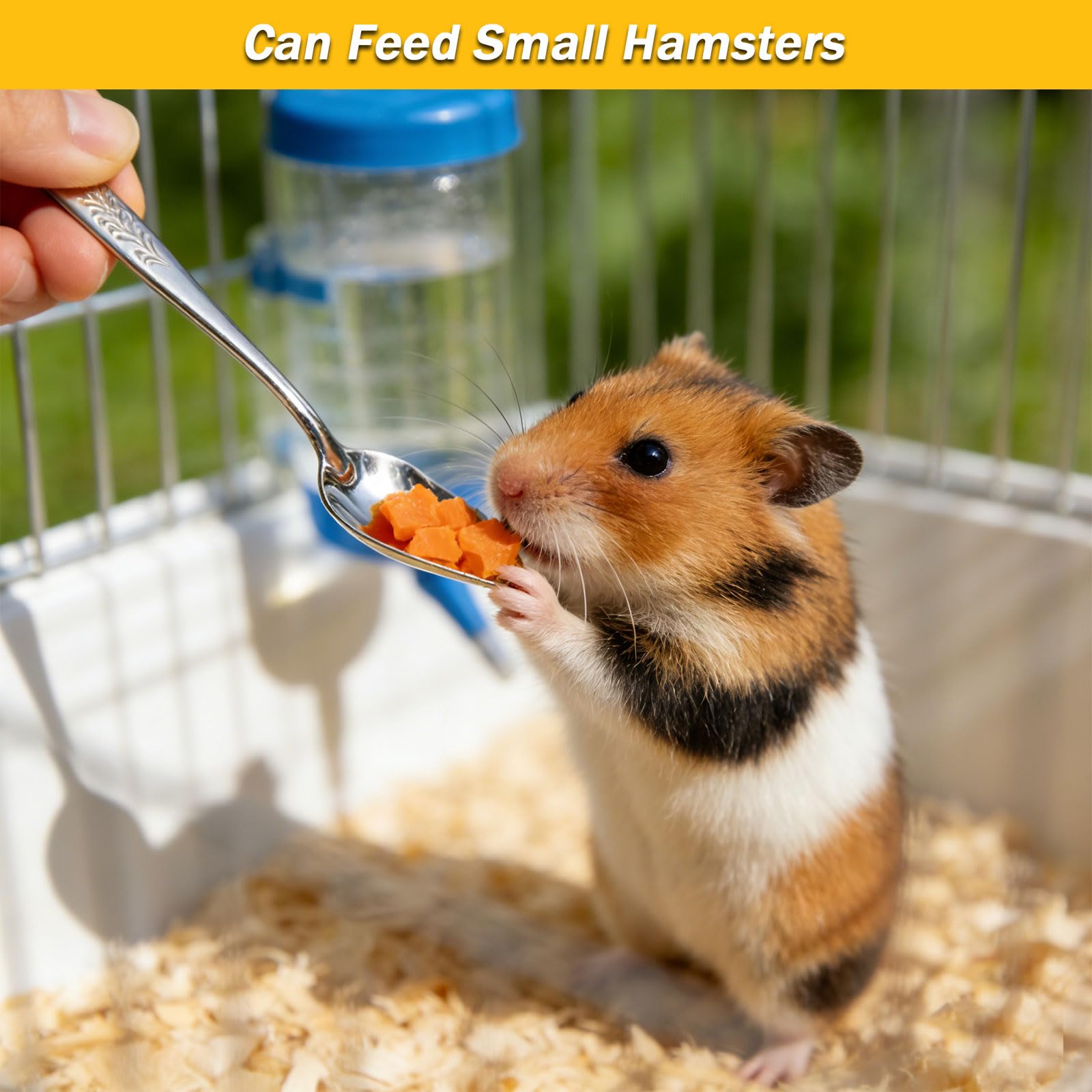 16 Pezzi Alimentatore Pappagalli, Siringhe 10 ml Trasparente Uccelli Alimentazione, Siringhe per Uccelli Giovani, per Rettili e Piccoli Animali Domestici per L'alimentazione Liquida