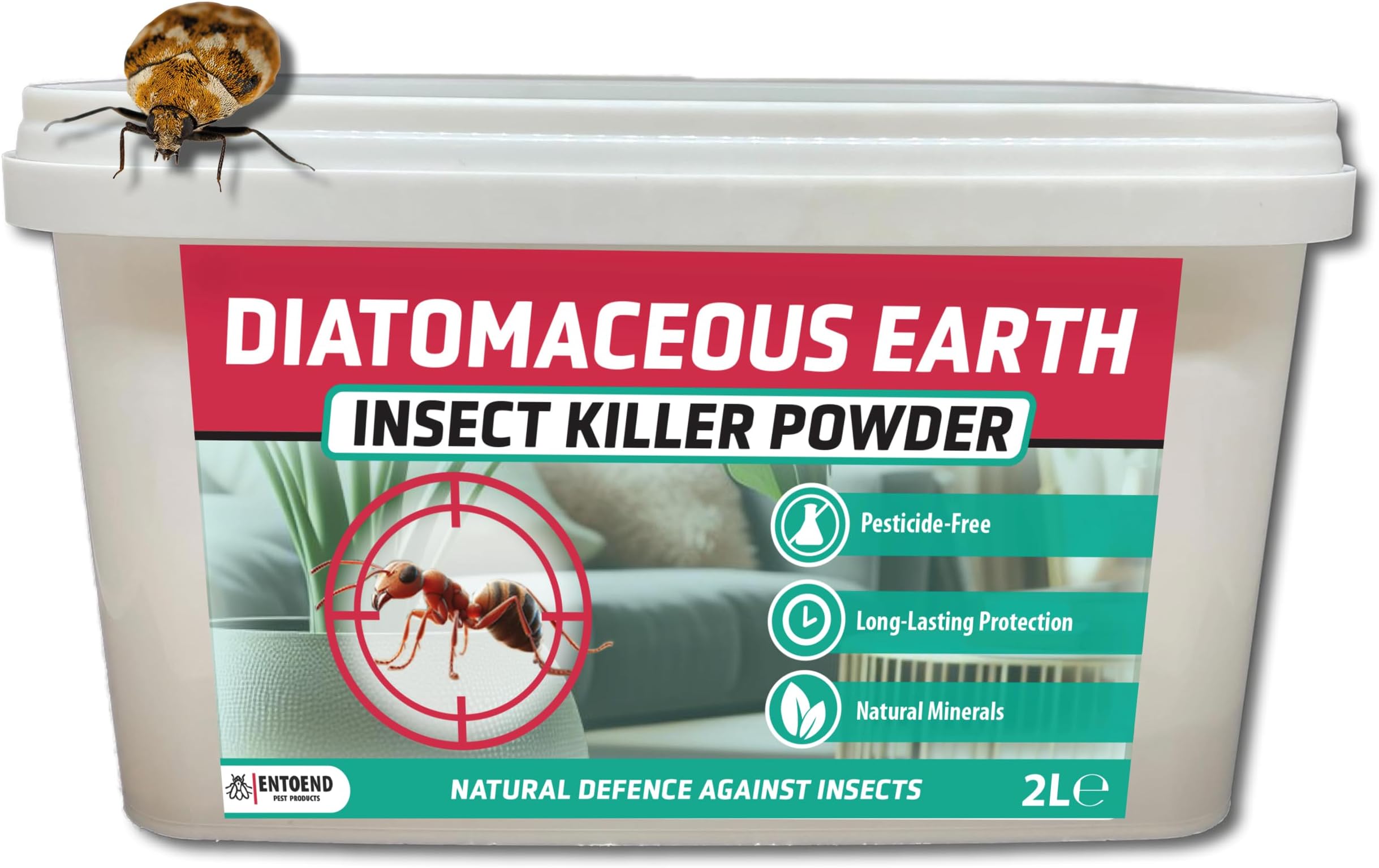 ENTOEND Diatomaceous Earth Insect Killer Powder 1KG - Natural & Feed Grade Indoor Pest Control - Ant Killer, Bed Bug Killer, Carpet Beetle Killer, Cockroach Killer, Flea Killer, Silverfish Killer