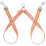 BAAPET Double Dog Leash Splitter, Tangle Free Dual Dog Leash Coupler, Two Dog Walking and Training Extension for Small Medium or Large Dogs (3/4'' x 20~32 Inch, Orange)