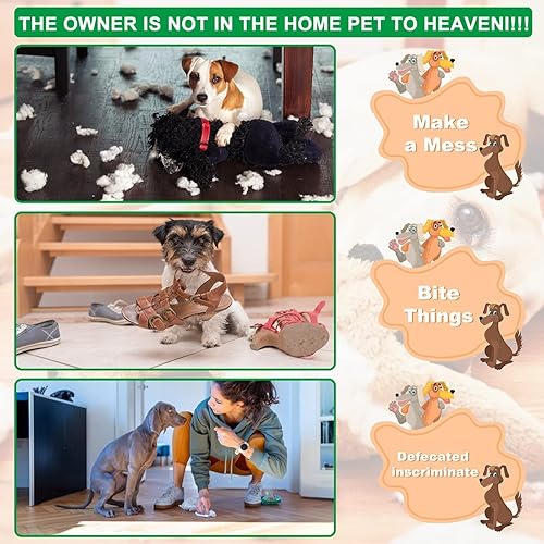 Miniatura 7 de Perrera para perros grande resistente con bandeja de plástico y ruedas, jaula XXL de 48 pulgadas para perros al aire libre con puertas dobles, cajas