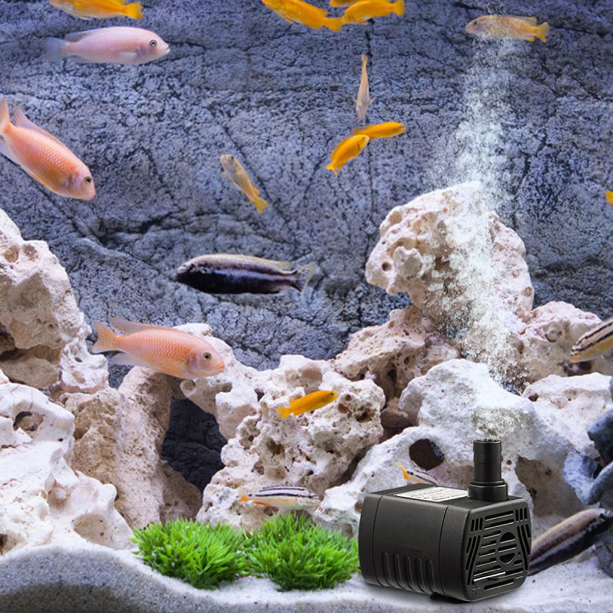 Kisangel 3stücke Miniaturisierte Tauchpumpe Für Aquarien Und Teiche Förderhöhe Leise Energieeffizient Für Brunnen Wasseranlagen Und Hydroponik-systeme Installieren Und Reinigen