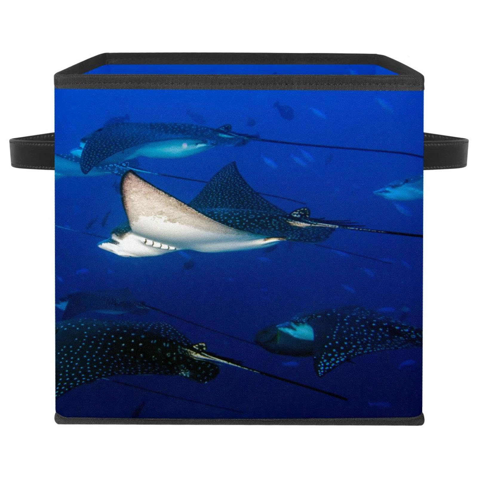 Boîte de rangement pliable en tissu cube résistant avec poignées solides Eagle Ray Manta