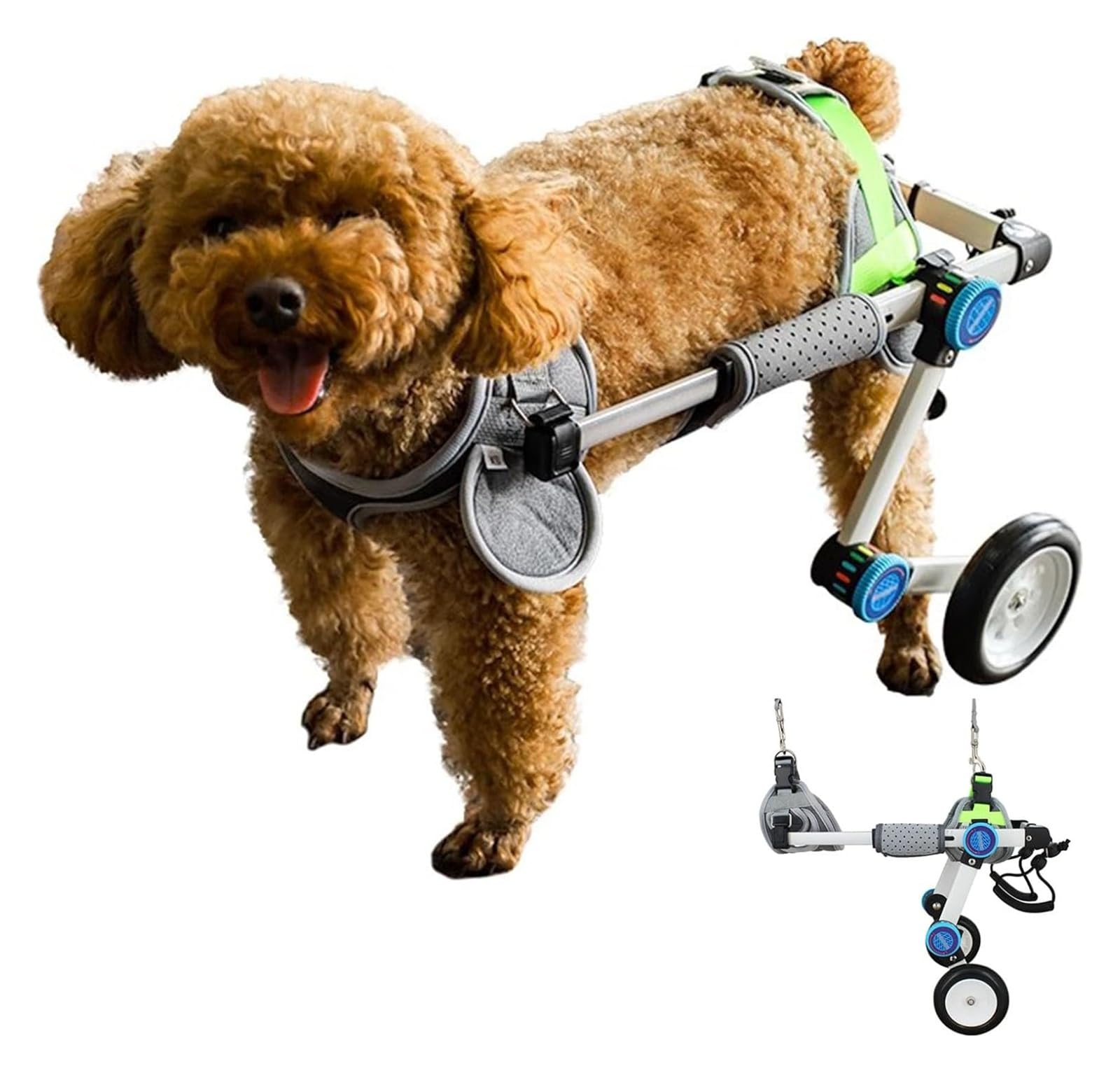 Fauteuil roulant pour pattes arrières réglable - Blanc Taille XS pour petit chien blessé