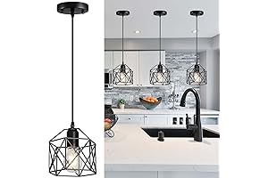 Rustic Vintage 1-Light Wire Cage Pendant Light