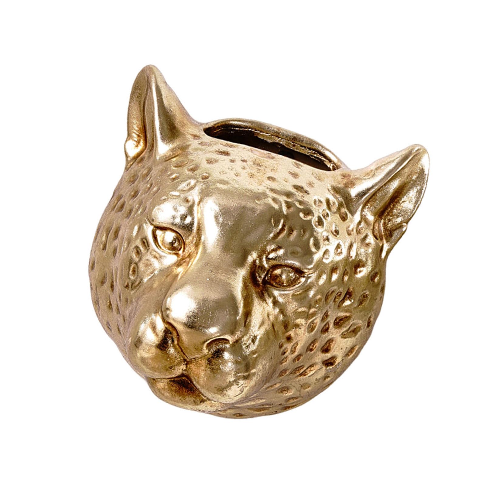Kaeltsyn Modern Leopard Face Wall Planter Stylish Resin Hangings Flower Pots Decoration Space Saving Wall Flower Container for Living Room Handcrafts Resins Hangings Planter