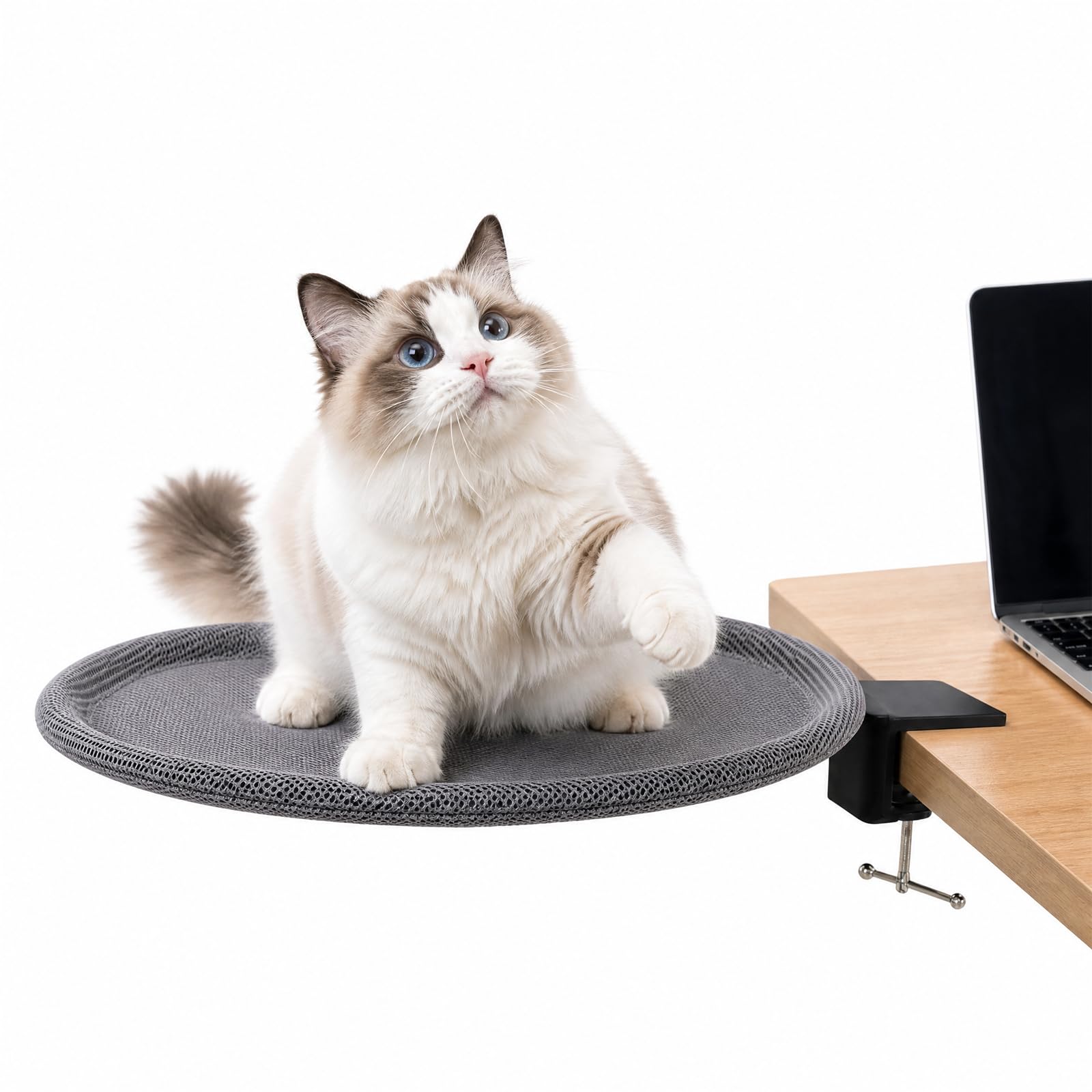 Guiwuiyu Cat Desk Bed 360°Rotating Design, Cat Hammock Bed Up to 50lb