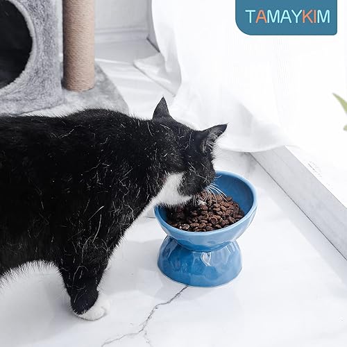 Miniatura 2 de TAMAYKIM Cuencos elevados de cerámica inclinados para gatos, juego de cuencos de comida y agua de 8 onzas para gatitos, plato elevado de porcelana