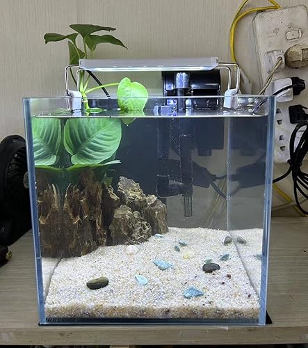 Miniatura 9 de Tanque pequeño sin borde nano alto, tanque de peces de cristal, tanque Betta (0.7 galones, 5.9 x 4.3 x 5.1 pulgadas/5.9x4.3x5.1 in)