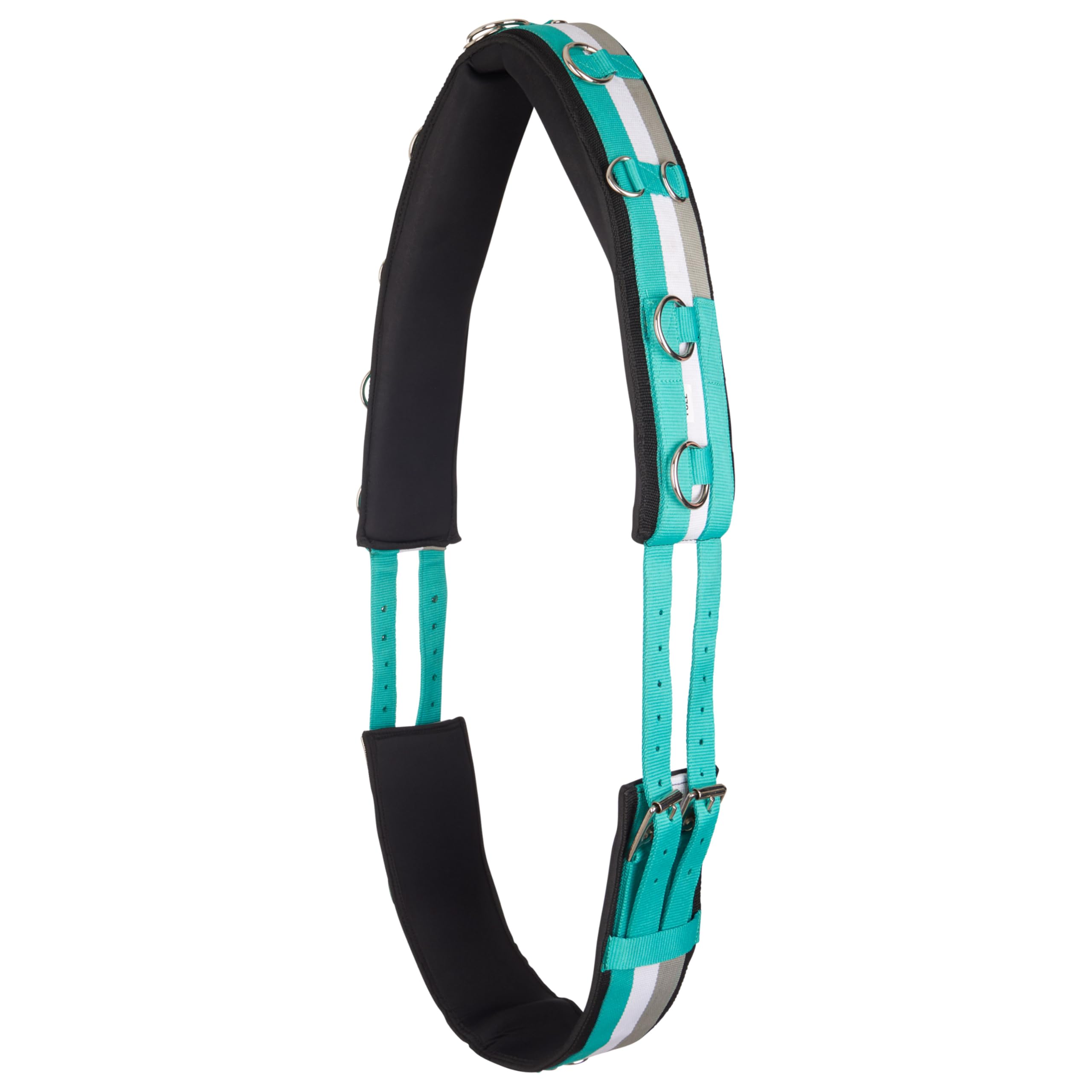 Imperial Riding IRH Deluxe Lunging Belt Polyester with Neoprene Lining and Metal Rings Jade Full