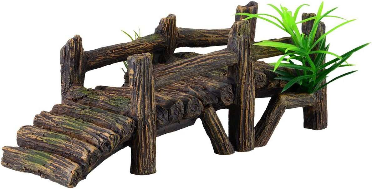 Underwater Treasures Wooden Dock