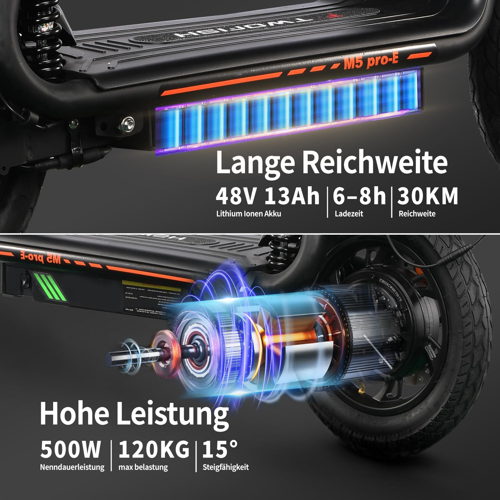 TWOFISH E Moped mit Straßenzulassung, Elektro Motorrad für Erwachsene mit 500W Motor 48V 13Ah Akku, 12/14 Zoll Reifen, IPX4, Display, Rückspiegel, Stoßdämpfendes Design