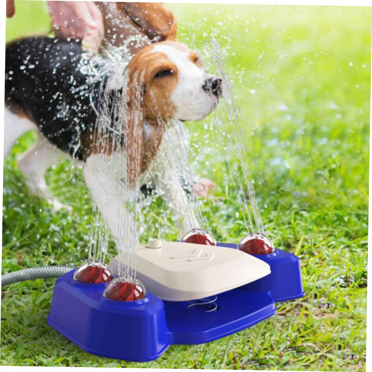 Kisangel Juguete Multifuncional para Baño De Perros y Bebedero Automático Dispositivo De Rociado Divertido para Mascotas para Duchas