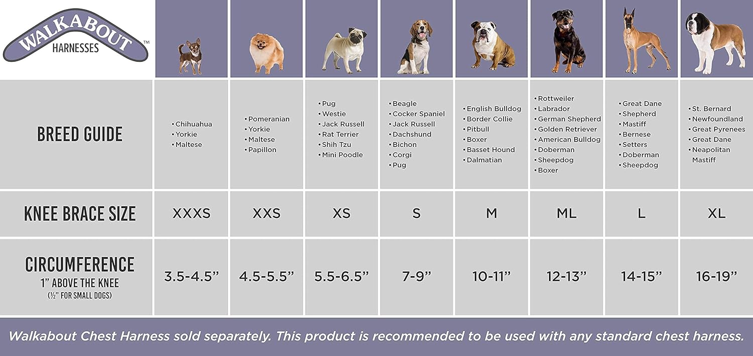 walkabout knee brace