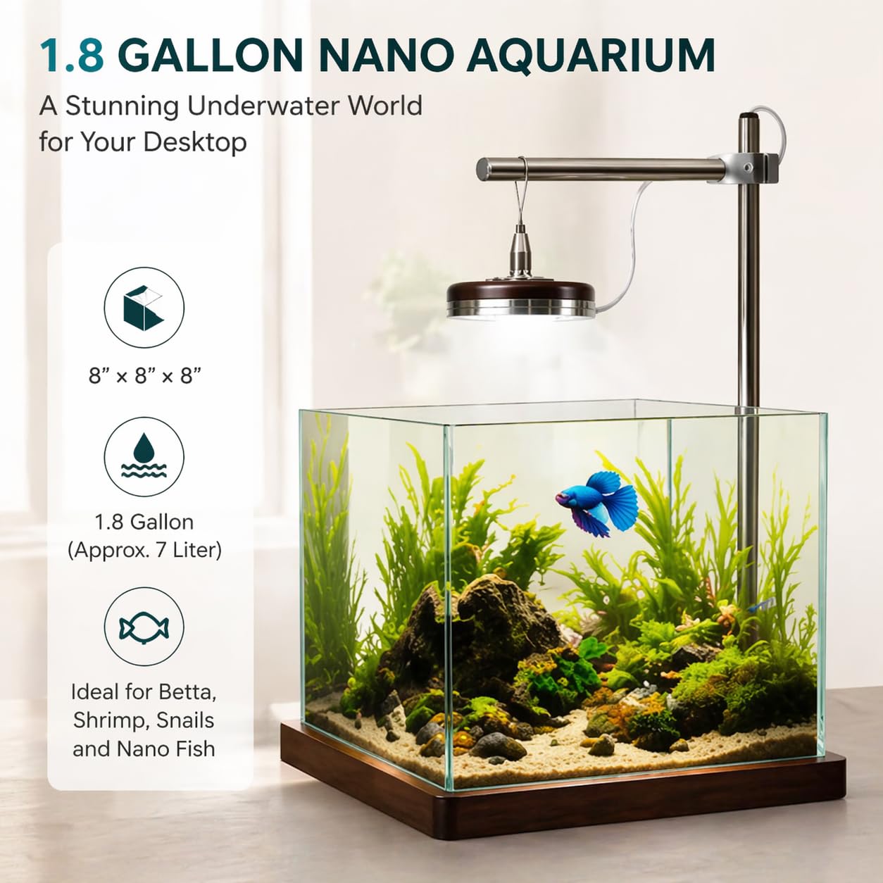 Petit aquarium Betta avec lumière LED et support en bois – Kit de démarrage pour aquarium Betta de 20,3 cm – Comprend un outil de nettoyage, un chiffon et un tapis pour bureau, chambre à coucher