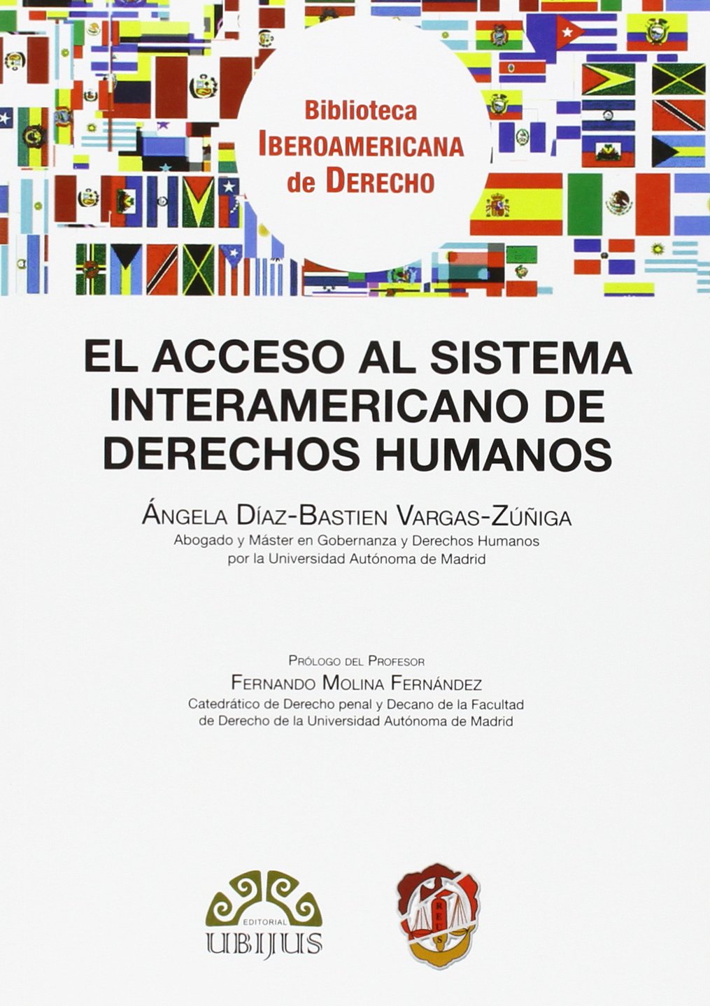 El acceso al sistema interamericano de Derechos Humanos (Biblioteca Iberoamericana de Derecho)