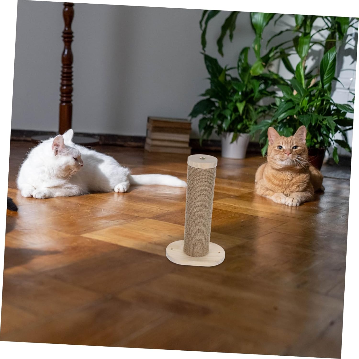 POPETPOP 2pcs Cat Wall Steps Wall Mounted Cat Climbing Scratching Ladder Furniture