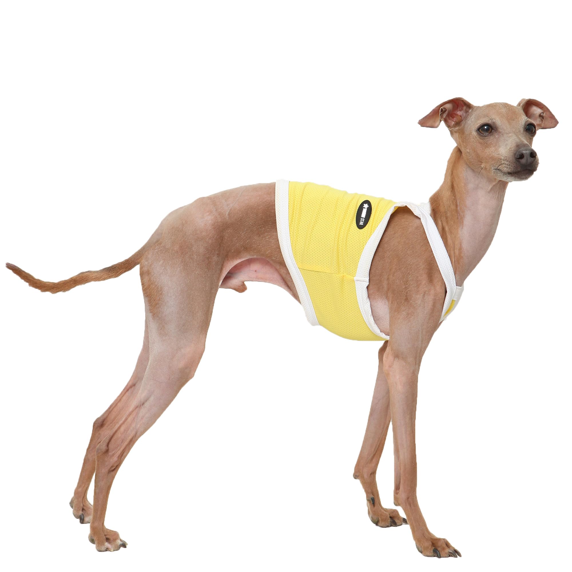 D Doggy Star Italian Greyhound Clothes Summer Cooling String Sleeveless Crop Top T Shirt Whippet for Dog (S,Camisole Yellow) — image 1