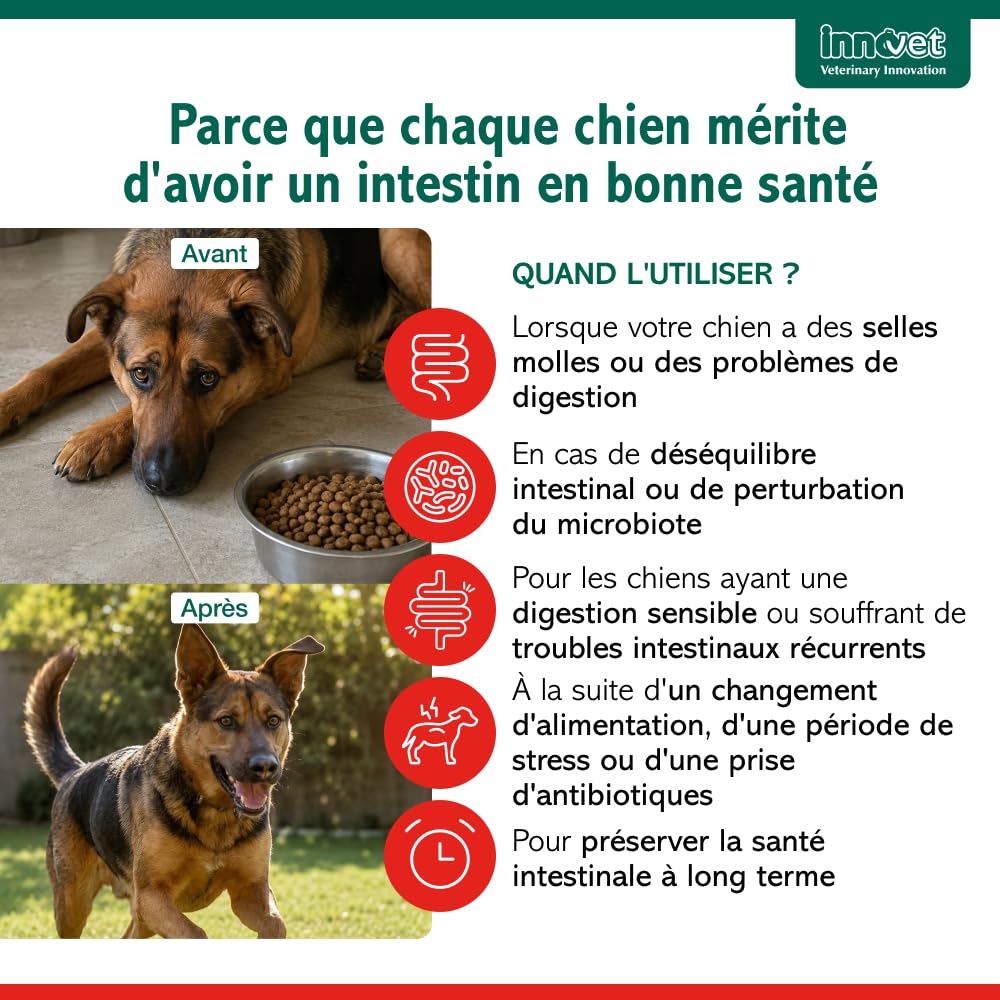 Innovet Normalia Extra Digestion Santé Intestinale pour Chien 30 comprimés