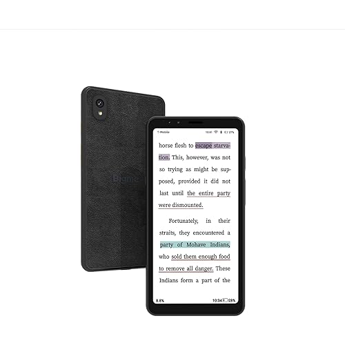 Bigme Color E-Ink Screen Mobile HiBreak, 6G+128GB Android 11 Smartphone, 36-Level Front Light, USB-C, 3300mAh Battery, 5+13MP Camera - Black