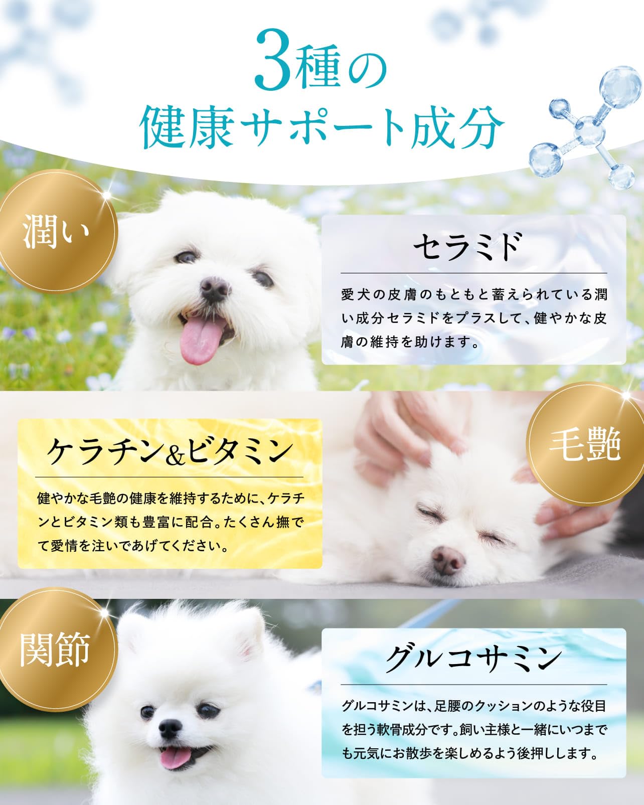 【ビオワンファイン】犬用栄養補完食 2袋 犬用涙やけサプリ】ビオワンファインとビオワンふき取り