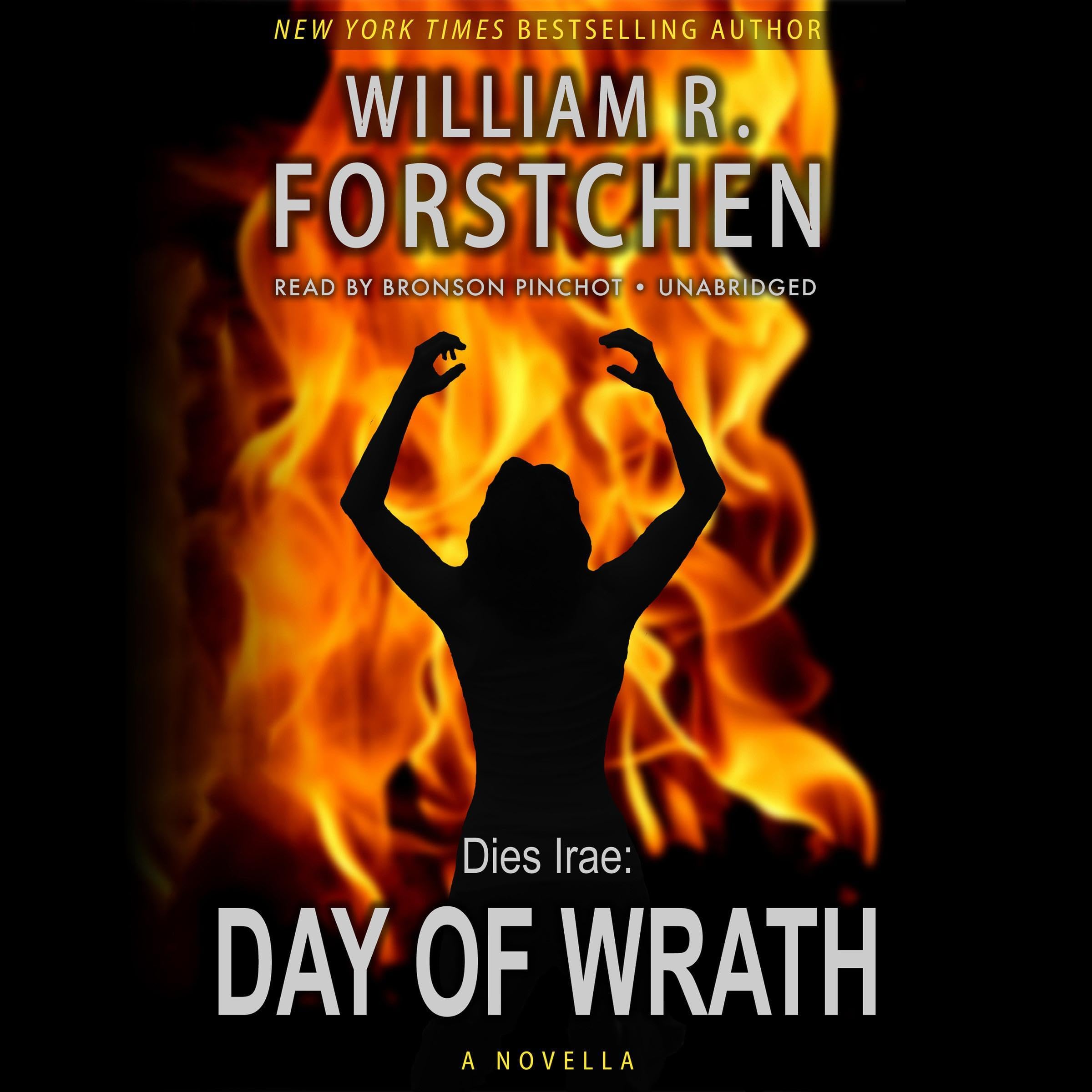 Cover art for Day of Wrath