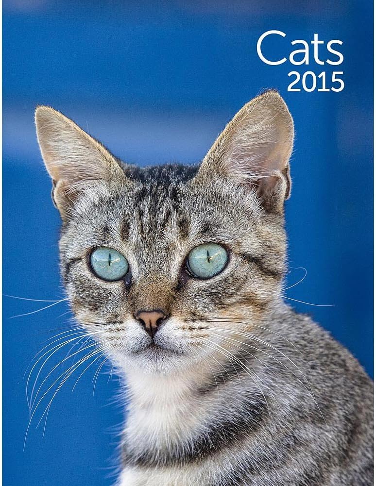 Ziga Media, LLC, Cats Softcover Weekly Planner
