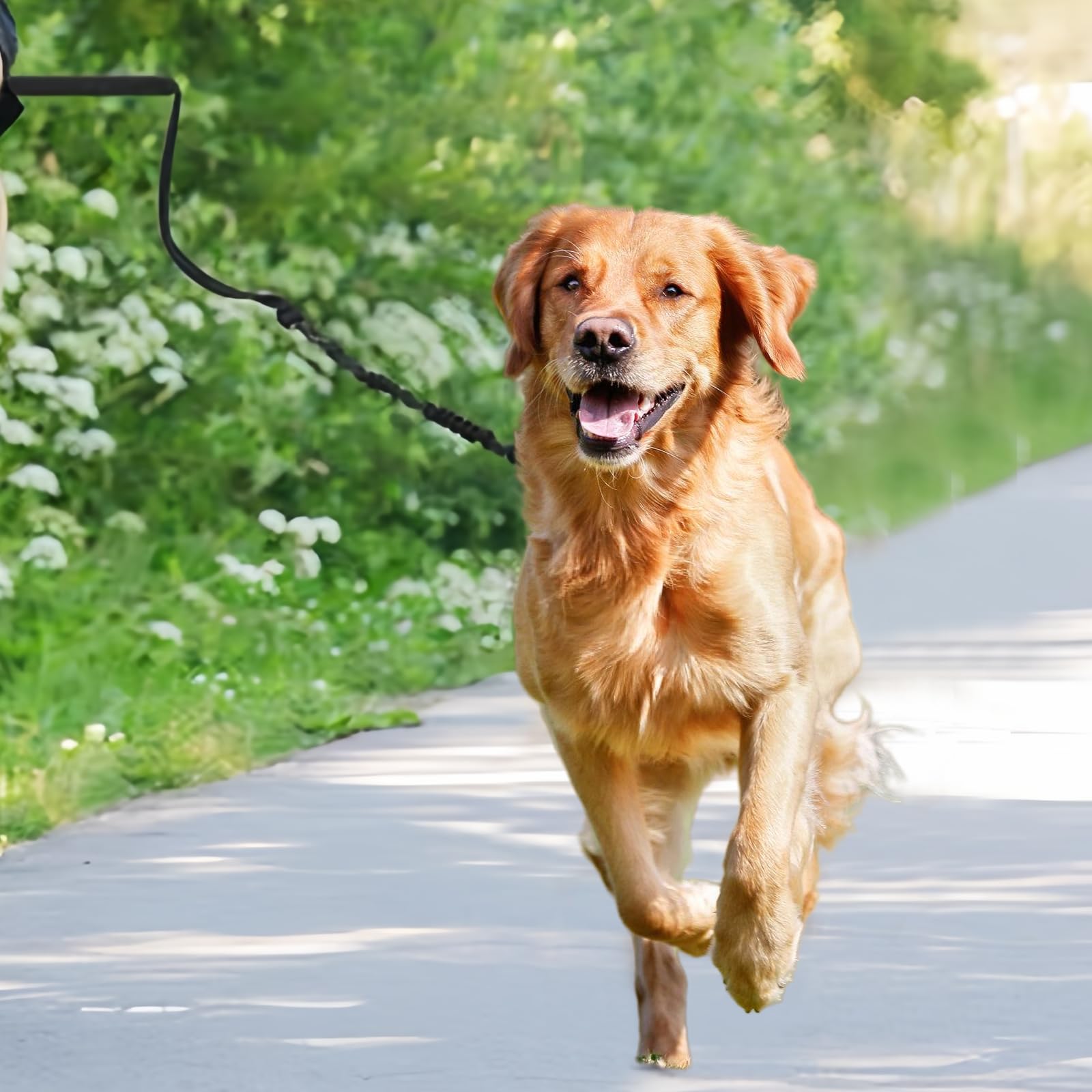 Correa de Bicicleta para Perro Manos Libres Retráctil con Llave Hexagonal y Junta de Goma - Para Entrenamiento