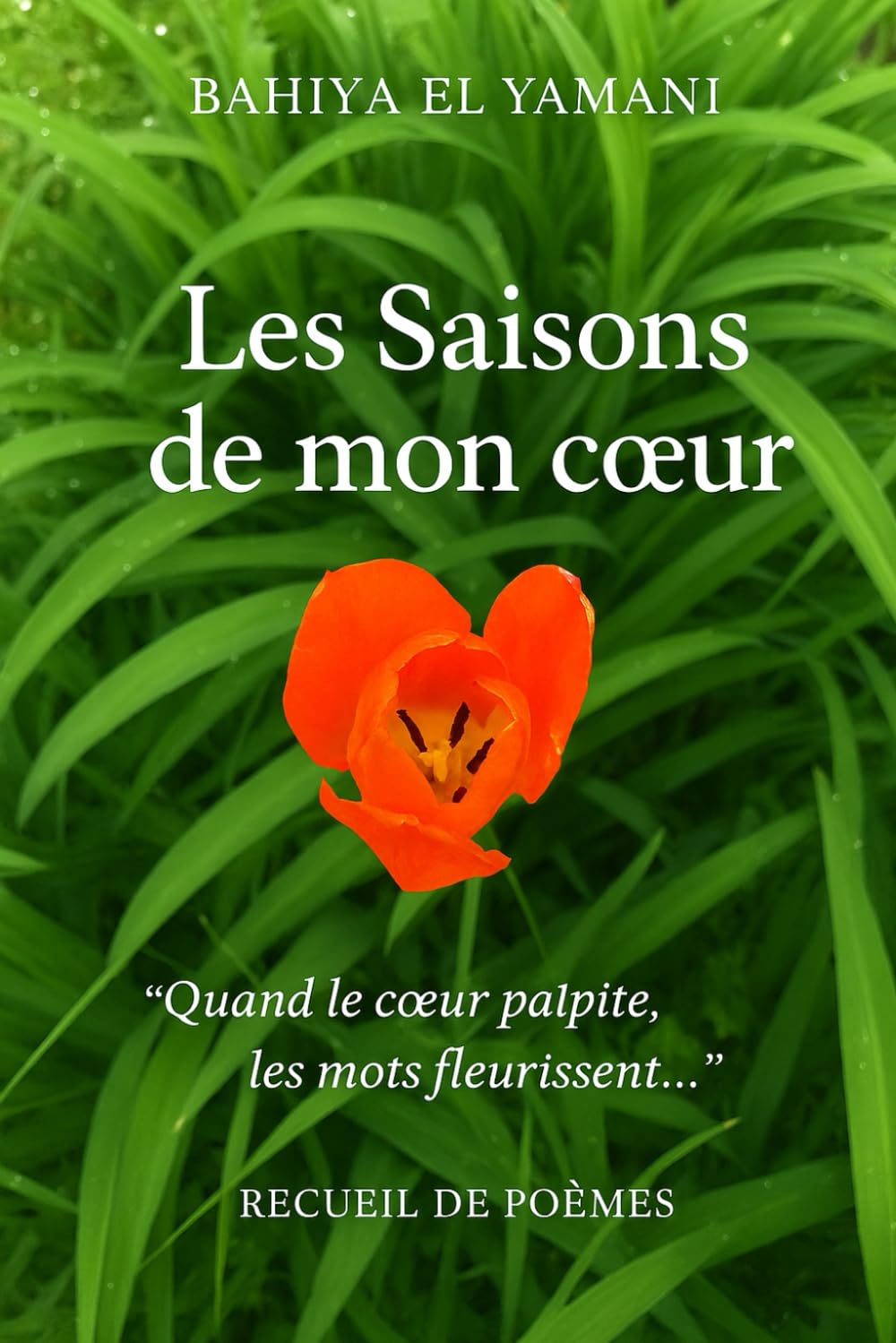 Les Saisons de mon coeur
