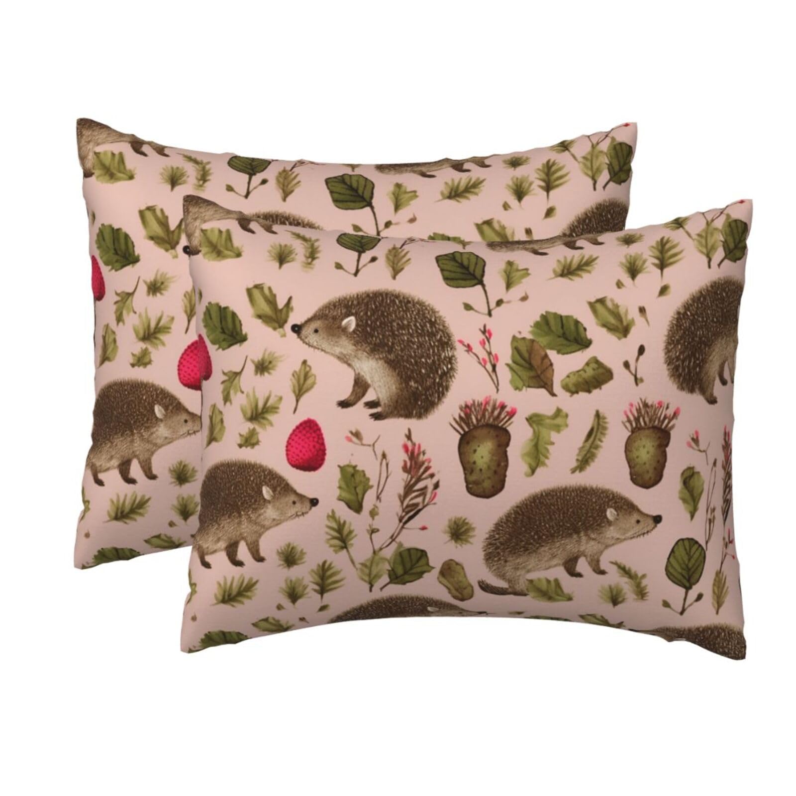 2 Pack Standard Size Pillow Cases for Hair and Skin Soft Breathable Pillow Case Covers with Hidden Zipper Hedgehog Print Pillowcase 20x26 Inches Pillow Cover for Sleeping Gift