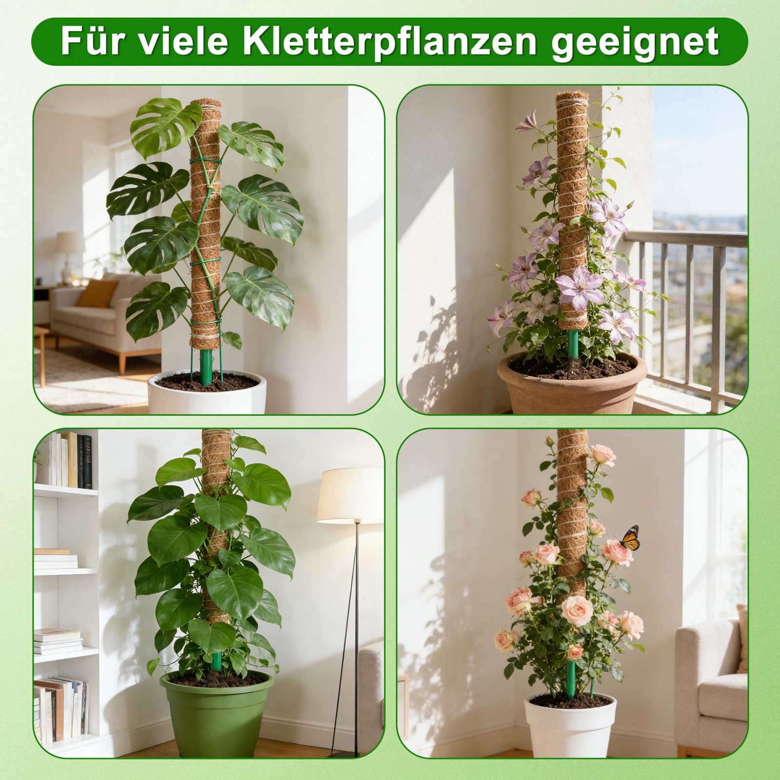 HOVIN Soporte trepador para Monstera de coco – 4 tutores extensibles de musgo, 40 cm – Para plantas trepadoras en interiores y jardines