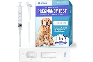 Dog Pregnancy Test: Accurately Detect Pregnancy Early On