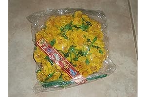 1 Bag of 50 Hoa Mai Vang Artificial Plastic Apricot Blossoms