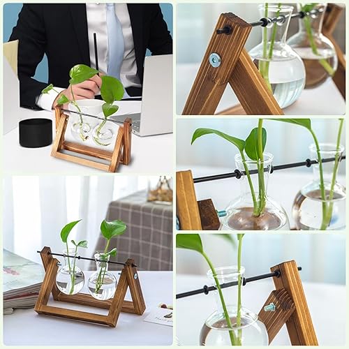 Miniatura 4 de Kingbuy Maceta de escritorio de cristal con soporte de madera retro y jarrón de terrario para plantas (2 bombillas) para decoración de escritorio de