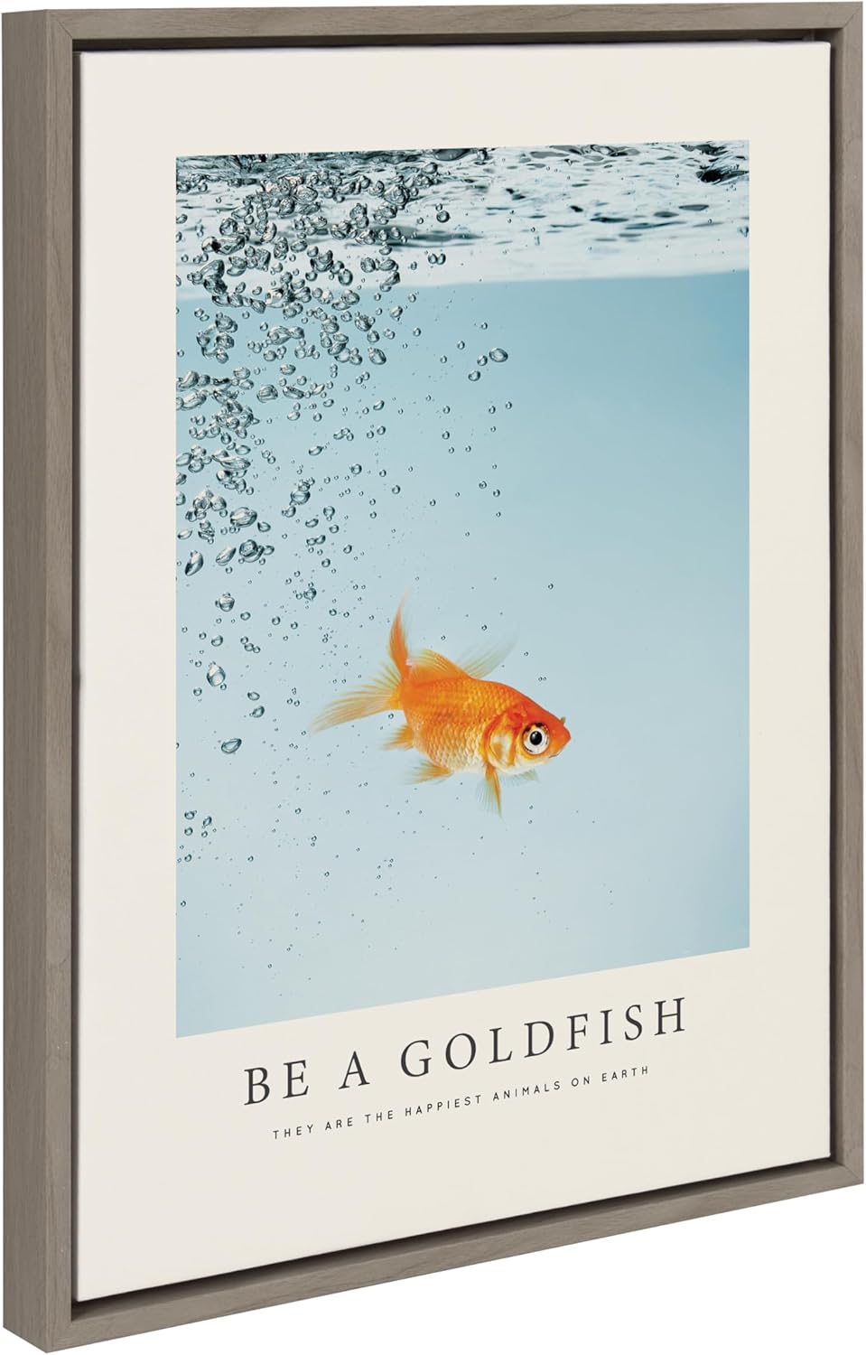 Gray Framed Canvas Print with Goldfish, 18" x 24"