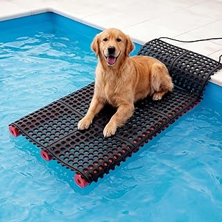 Geetery Dog Water Ramp