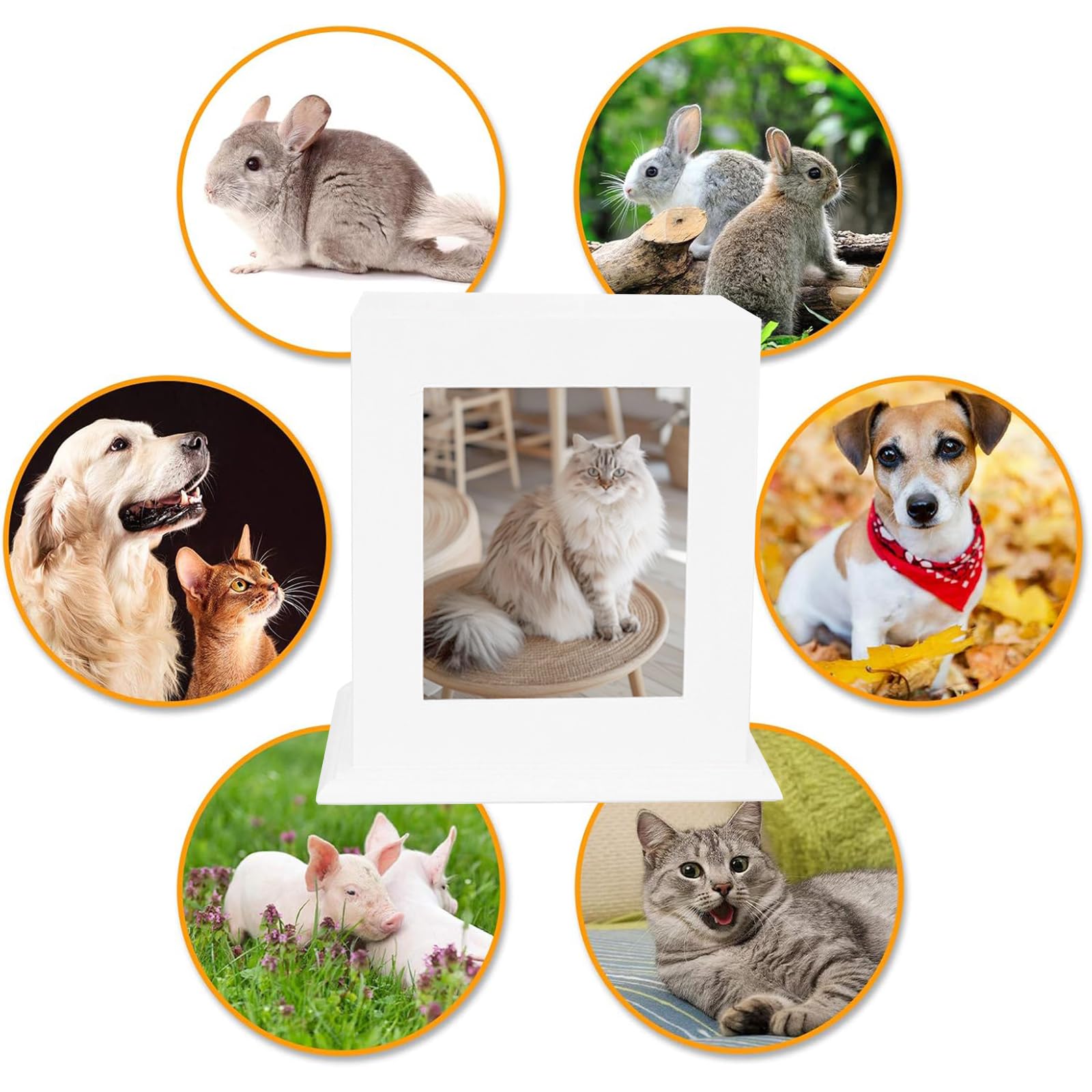 BRKURLEG Urne per Animali Domestici in Legno con Cornice per Foto, Urna per Cani, Urna per Ceneri di Animali Domestici, Scatola per Ceneri di Cani e Gatti, Adatta per la Maggior Parte degli Animali