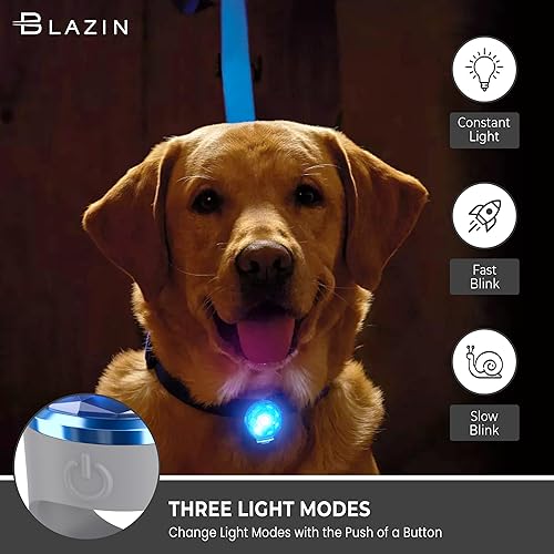 Miniatura 5 de Blazin Safety LED Dog Collar Light - Visible from up to 150 Feet Away - USB-C Rechargeable Battery Runs up to 20 hours on Single Charge - Waterproof