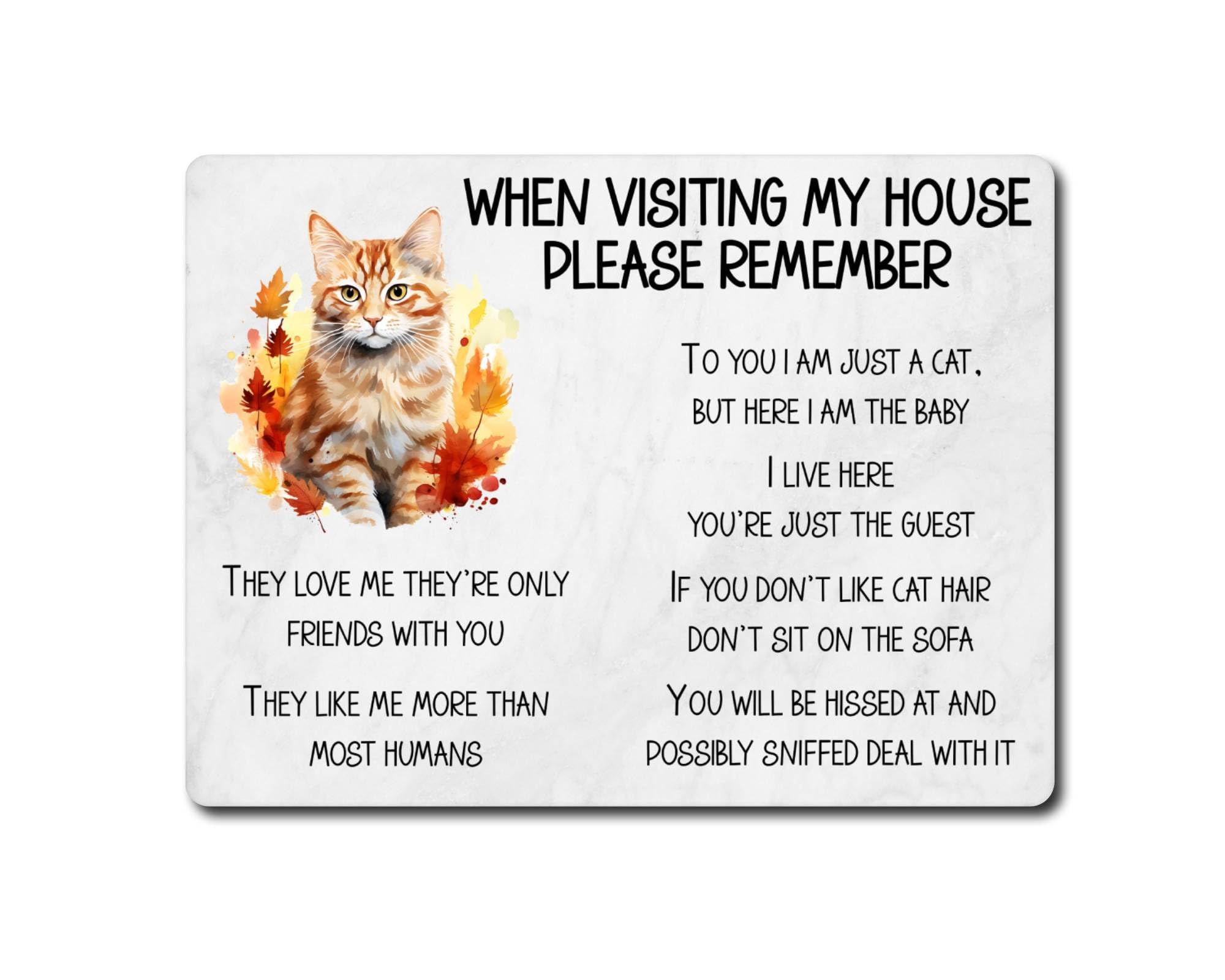 Ginger Cat Metal Sign Gift – When Visiting My House Please Remember - Cute Fun Novelty Animal Aluminium Present
